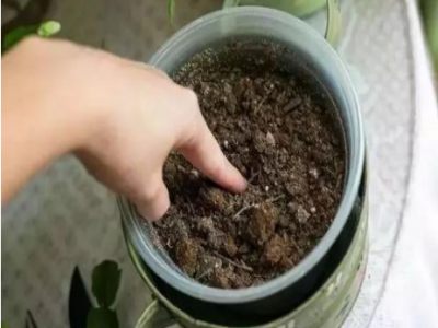 油煙機流出的廢油，一滴也別倒掉！解決了許多家庭大煩惱！